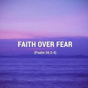 Meet your Posher, Mildred